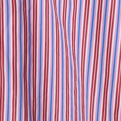 コットンブロード　ストライプ　ボタンダウンシャツ