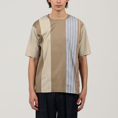 コットン　ストライプ　デザインＴシャツ