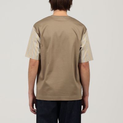 コットン　ストライプ　デザインＴシャツ