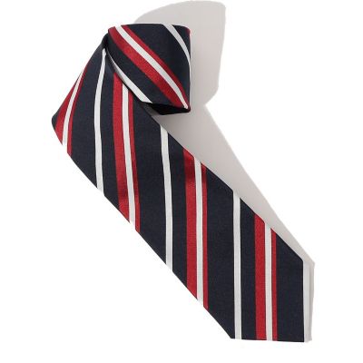 STEFANO BIGI シルク レジメンタルネクタイ | TOMORROWLAND