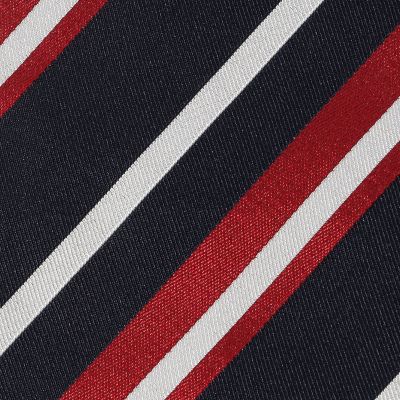 STEFANO BIGI シルク レジメンタルネクタイ | TOMORROWLAND