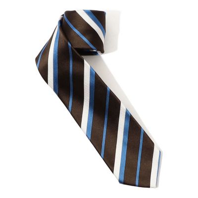 STEFANO BIGI シルク レジメンタルネクタイ | TOMORROWLAND