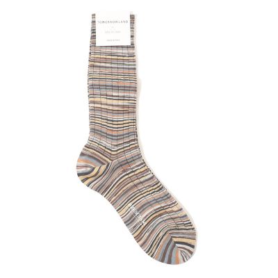 ＜TOMORROWLAND (Men)＞ＢＲＥＳＣＩＡＮＩ　コットン　マルチボーダーソックス