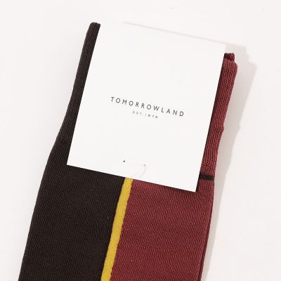 ＴＯＭＯＲＲＯＷＬＡＮＤ　パネルライン　ソックス