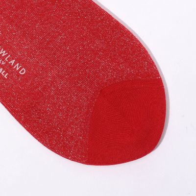 【別注】ＢＲＥＳＣＩＡＮＩ×ＴＯＭＯＲＲＯＷＬＡＮＤ　ラメソックス
