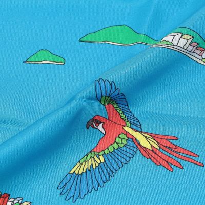 Ｋｉｎｌｏｃｈ　シルク　スカーフ
