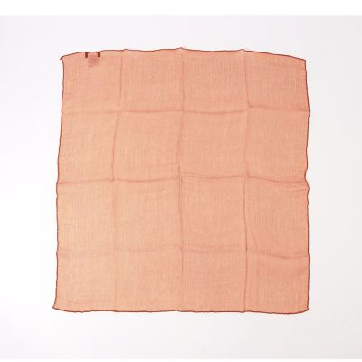 STEVEN ALAN REGAGLIA シルクスカーフ Steven Alan（スティーブンアラン）の「＜REGAGLIA＞ SLK SCARF