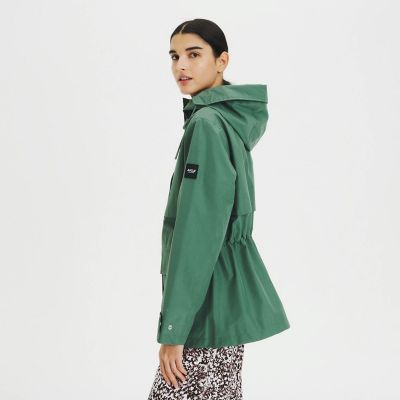 ゴアテックス　フーデット　ジャケット