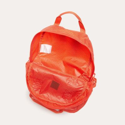 ＭＩＺＮＯＮ　ＤＡＹＰＡＣＫ　２