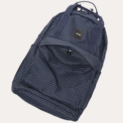 ＭＩＺＮＯＮ　ＤＡＹＰＡＣＫ　２