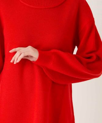 リブネックデザインウールニットプルオーバー | HIROKO BIS (Women