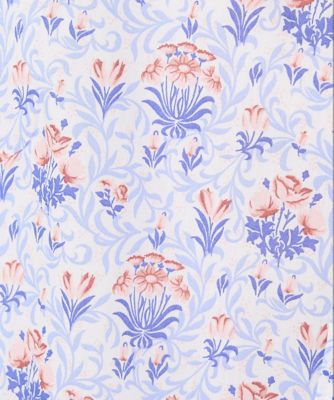 ＬＩＢＥＲＴＹプリントシャツブラウス（Ｆａｗｌｅｙ　Ｓｐｒｉｎｇ）