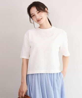 MK MICHEL KLEIN (Women/小さいサイズ)/エムケーミッシェルクラン 【小さいサイズ】［洗える］ドット調アイレット　レースＴシャツ