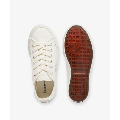 レディース　ＢＡＣＫＣＯＵＲＴ　１２５　１　ＣＦＡ