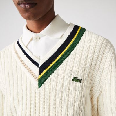 セール 50%OFF】Vネックテニスセーター(505172837) | ラコステ メンズ(LACOSTE Mens) - d fashion