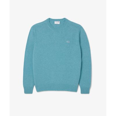 スリーブライン3Dニットセーター | LACOSTE/ラコステ | 三越