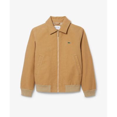 パデッドモールスキンジャケット ／ 中綿ブルゾン | LACOSTE/ラコステ