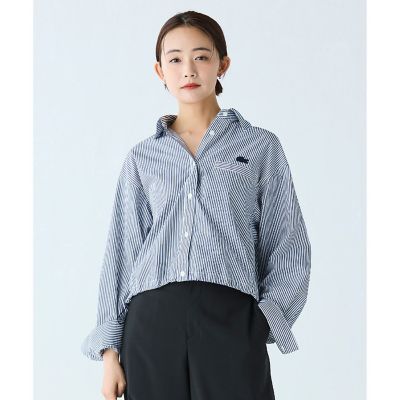 LACOSTE ショート&ワイドクロップド バルーンスリーブ ストライプシャツ LACOSTE（ラコステ）の「ショート&ワイドクロップド バルーンスリーブ