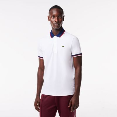配色ボーダーリブニット鹿の子地ポロシャツ | LACOSTE/ラコステ