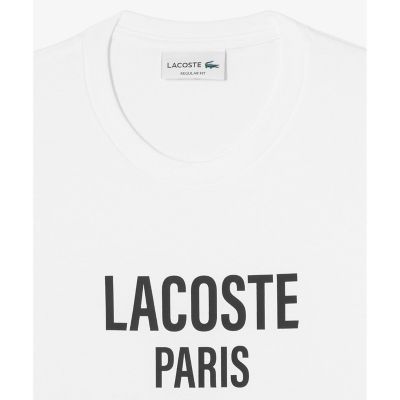 タイポグラフィＴシャツ
