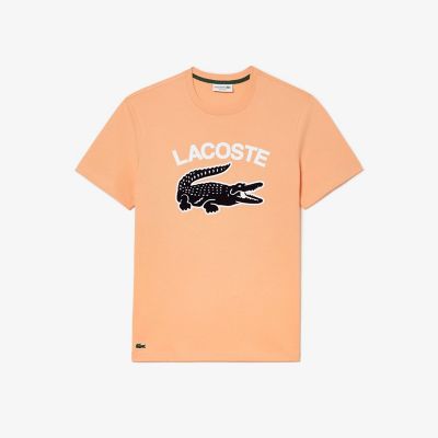 カレッジプリントＴシャツ