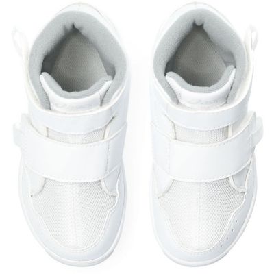ＧＤ．ＷＡＬＫＥＲ［Ｒ］ＭＩＮＩ　ＨＩ　２