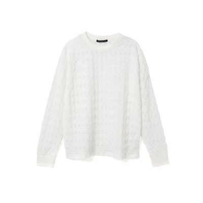 ｍｉｚｕｉｒｏ　ｉｎｄ　シアーパターンロングＴシャツ