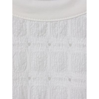ｍｉｚｕｉｒｏ　ｉｎｄ　シアーパターンロングＴシャツ