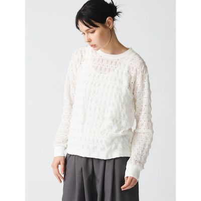 ｍｉｚｕｉｒｏ　ｉｎｄ　シアーパターンロングＴシャツ