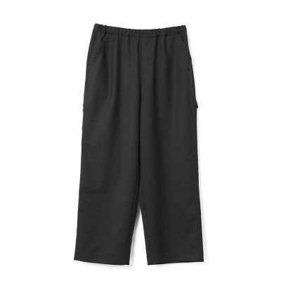 mizuiro ind ペインターイージーパンツ | mizuiro ind
