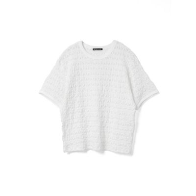 ｍｉｚｕｉｒｏ　ｉｎｄ　ストレッチレースクルーネックＴシャツ