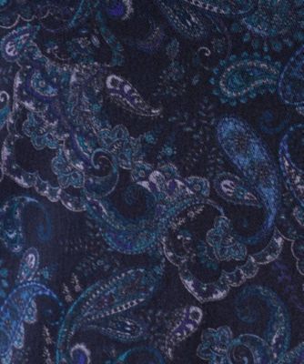 【パワーネット】シアーペイズリープリントハイネックカットソー