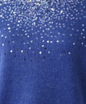 スパンコール刺繍ニット