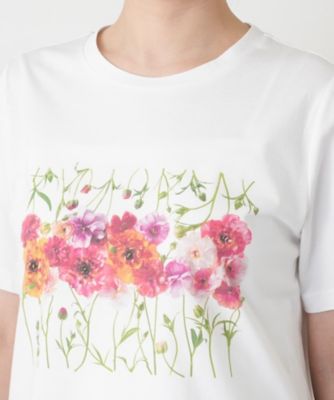 【美品】レリアン カットソー Tシャツ フラワープリント 17＋ 4L 現行タグ フラワープリントTシャツ【2026年5月カタログ】 | Leilian