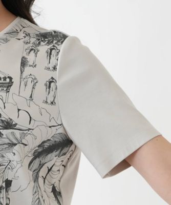【店舗人気】プリントＴシャツ【ＲＯＣＨＡＳ　Ｐｒｅｍｉｅｒｅ】