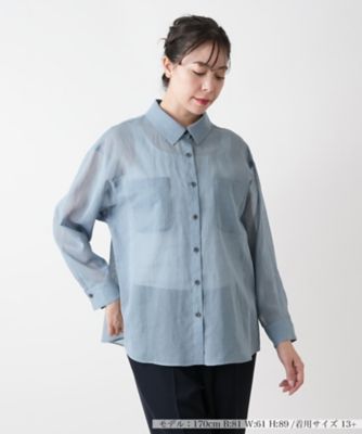 ＜Leilian plus house (Women/大きいサイズ)＞シアーブラウス【Ｌｅｉｌｉａｎ　ＷＨＩＴＥ　ＬＡＢＥＬ】