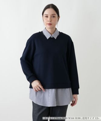 ＜Leilian plus house (Women/大きいサイズ)＞セーター【プラス企画】