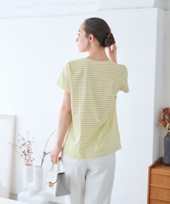 ボーダーＴシャツ