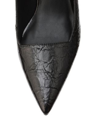 ＰＯＩＮＴＥＤ　ＴＯＥ　ＭＵＬＥ