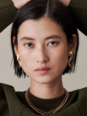 ＰＬＵＭＰ　ＳＷＥＬＬ　ＥＡＲＲＩＮＧ
