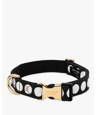 KATE SPADE NEW YORK (Women)/ケイト・スペード　ニューヨーク アート　ドット　Ｍ／Ｌ　カラー