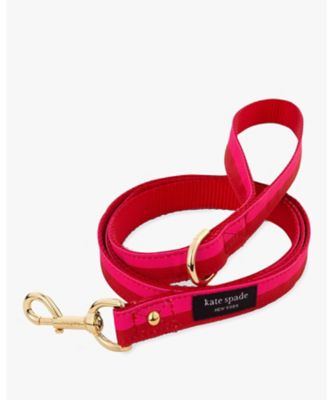 KATE SPADE NEW YORK (Women)/ケイト・スペード　ニューヨーク カラーブロック　Ｓ／Ｍ　リーシュ