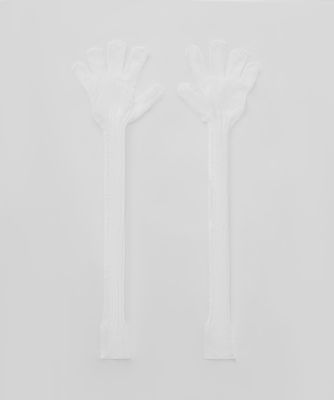 ＬＵＣＥＮＴ　ＬＯＮＧ　ＧＬＯＶＥＳ