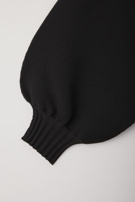 ＦＬＵＴＥＤ　ＳＨＯＲＴ　ＰＵＦＦ　ＳＬＥＥＶＥ　ＣＲＯＰＰＥＤ　ＴＯＰ