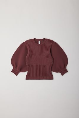 ＦＬＵＴＥＤ　ＳＨＯＲＴ　ＰＵＦＦ　ＳＬＥＥＶＥ　ＣＲＯＰＰＥＤ　ＴＯＰ
