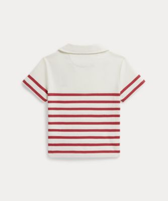 Polo ベア ストライプド コットン ポロシャツ