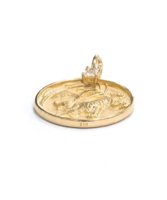 Ｎａｔｕｒｅ　Ｃｏｉｎ　Ｔｉｇｅｒ