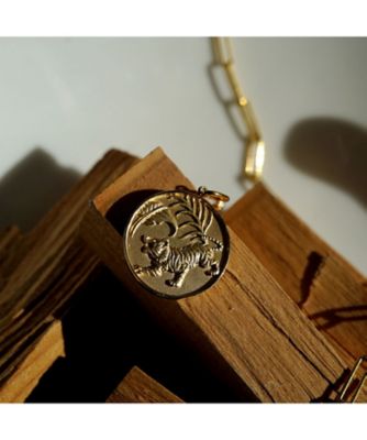 Ｎａｔｕｒｅ　Ｃｏｉｎ　Ｔｉｇｅｒ