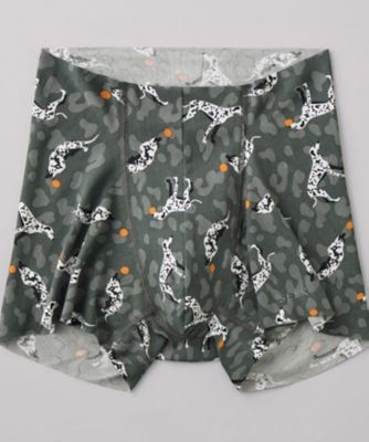 年間　エアーズボクサー　前とじ　ＡＩＲＺ　ＥＥＣ８８０Ｃ