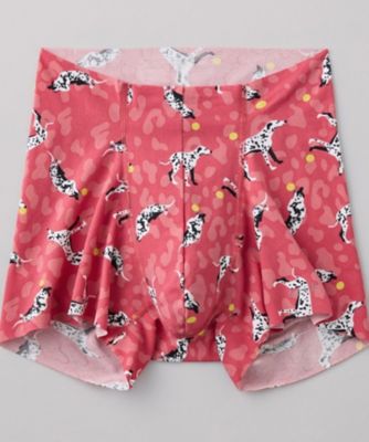 年間　エアーズボクサー　前とじ　ＡＩＲＺ　ＥＥＣ８８０Ｃ